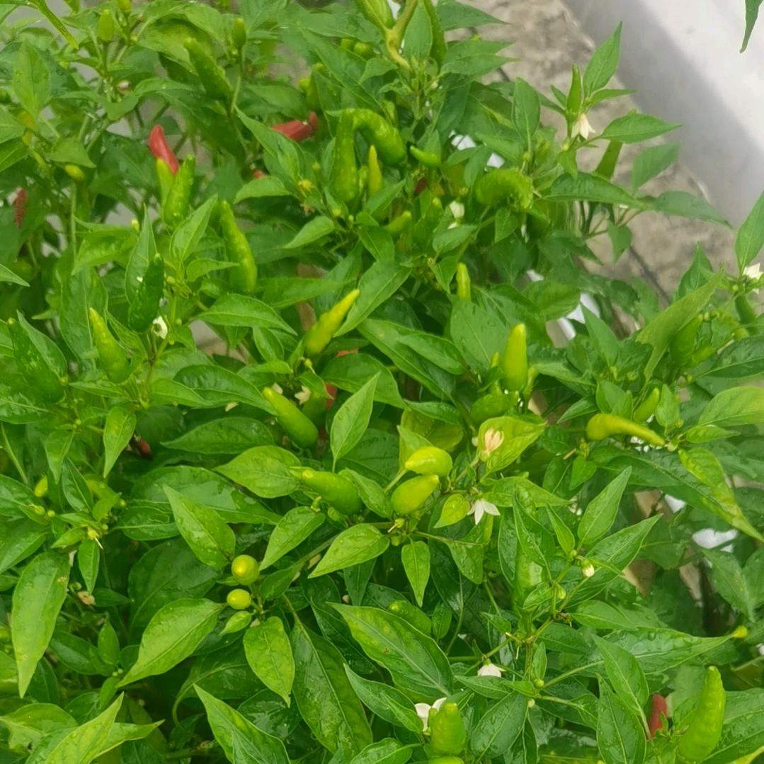 相信自己