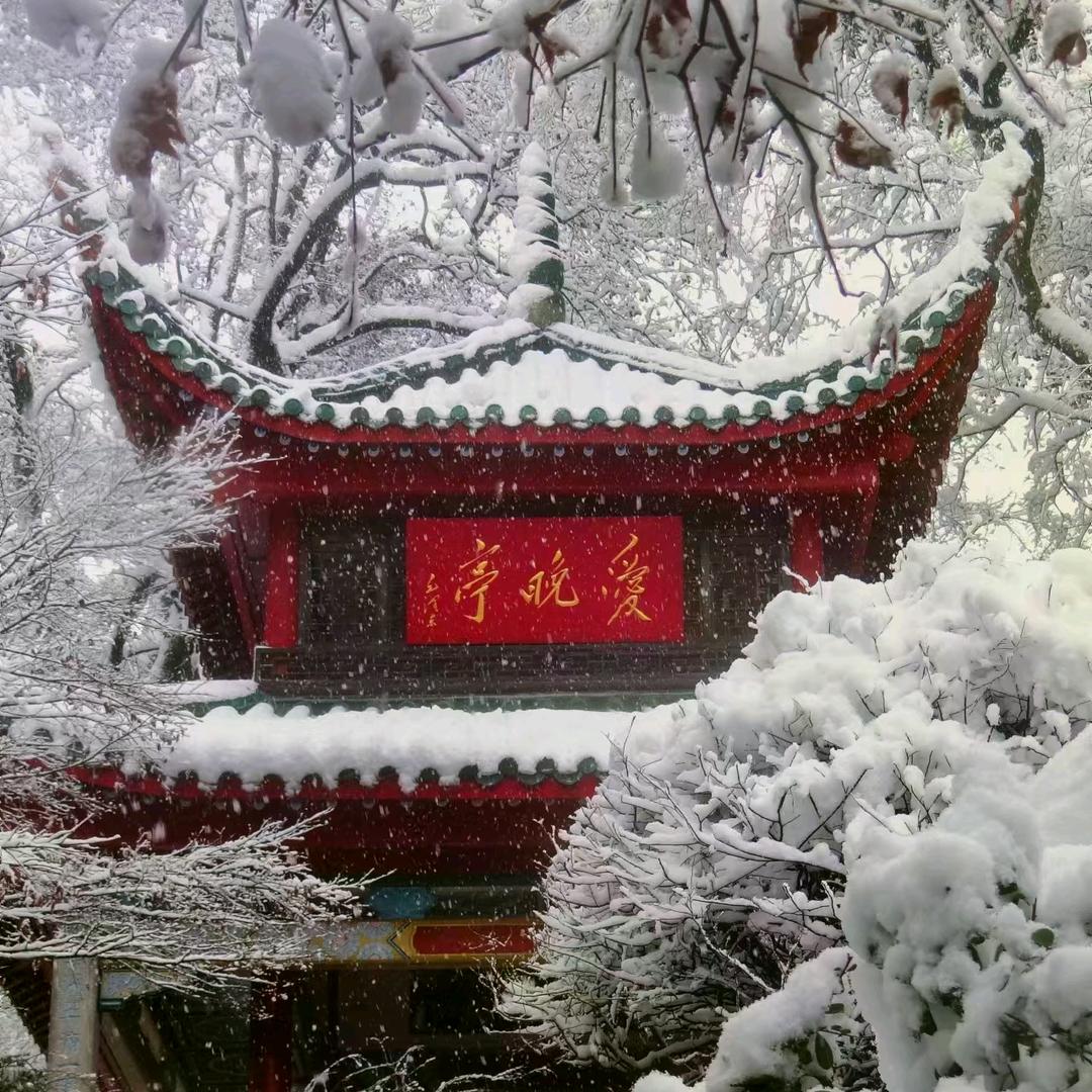 梦麟