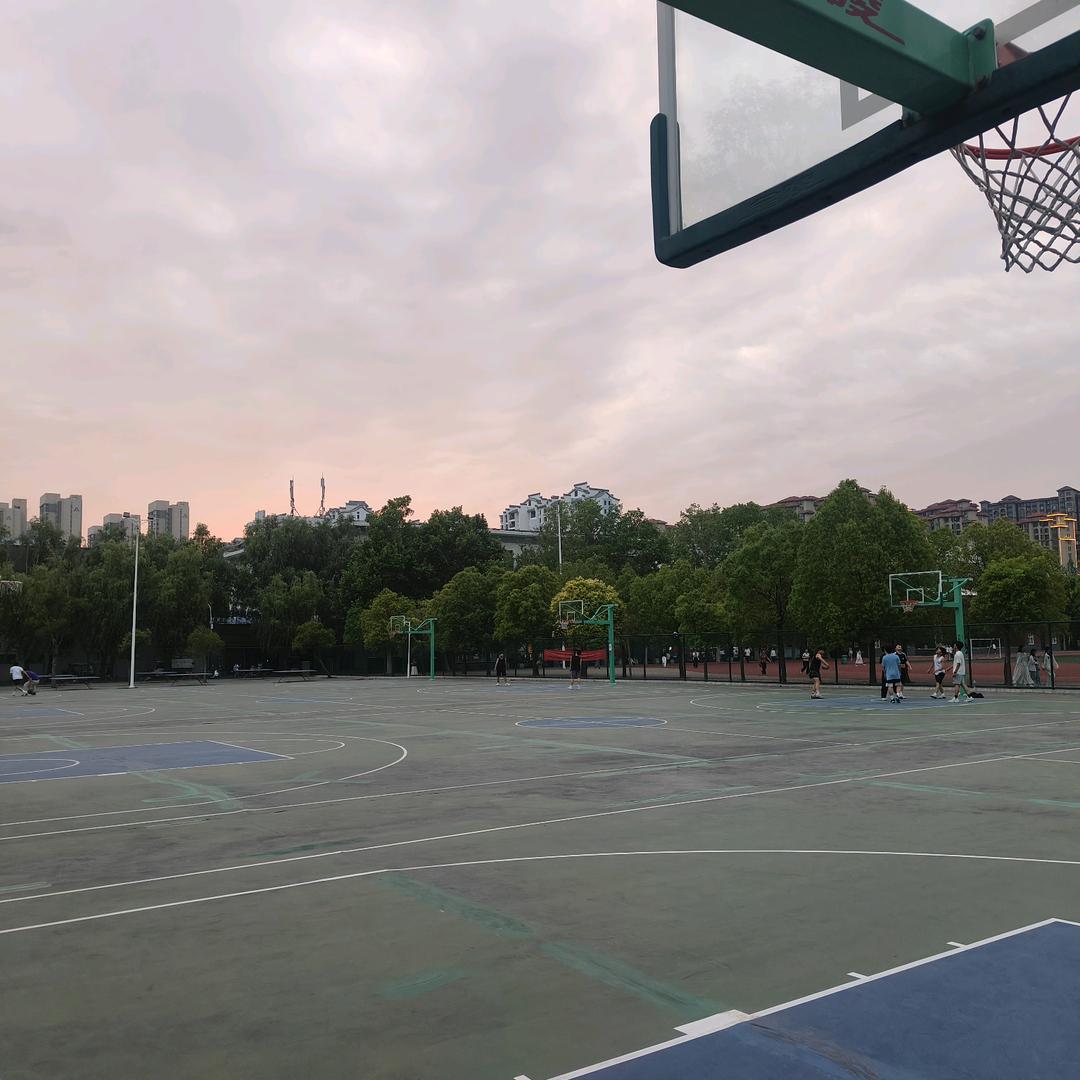 太常规