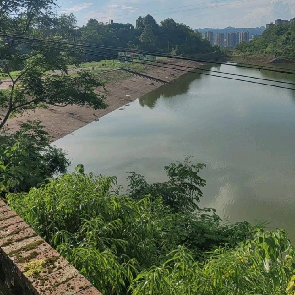 尖岩钓场<卍>龙劲坳钓场