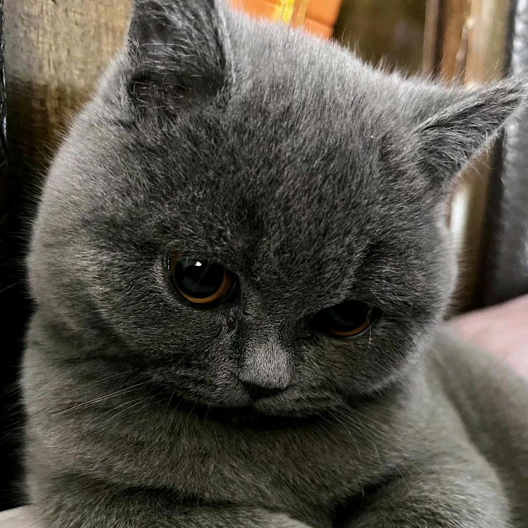 泡面加蛋烦恼滚蛋