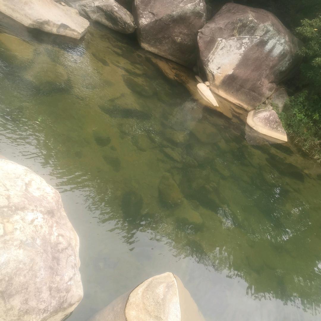 蔡室内装饰公司