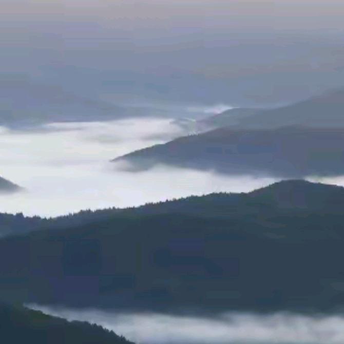 淡然✨
