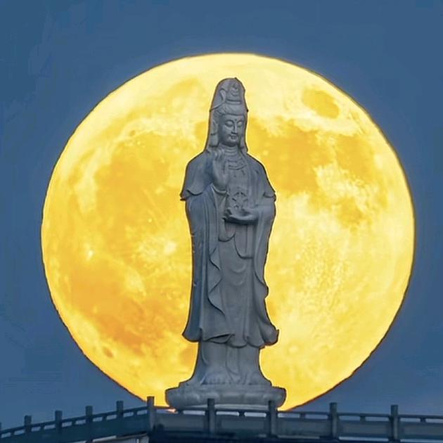 拼搏