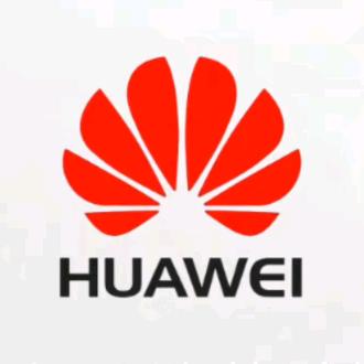 王嘉羽