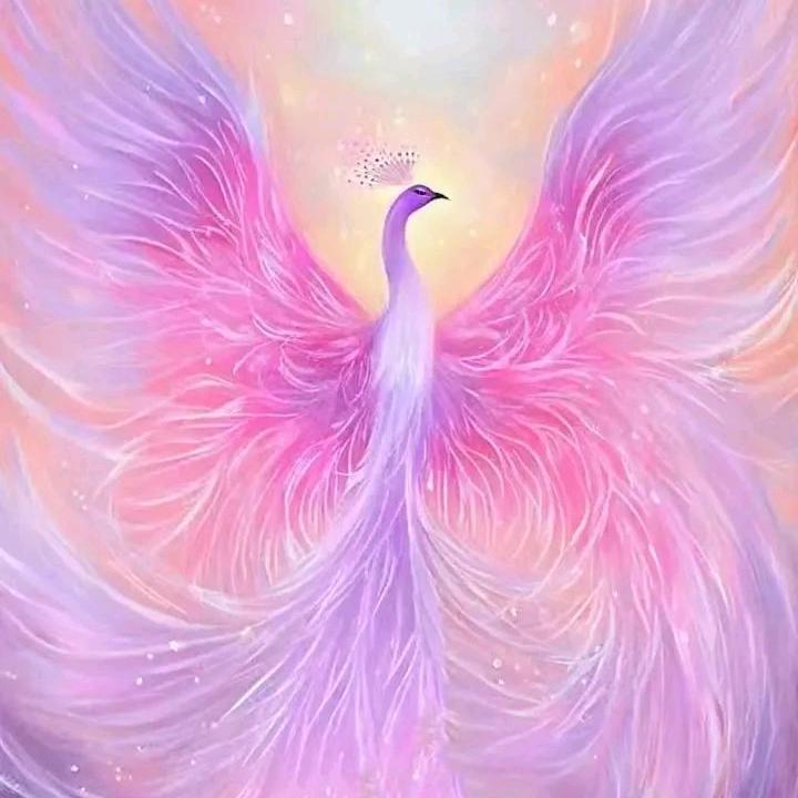 🪵释★心╭ァ🪵¹²²⁰