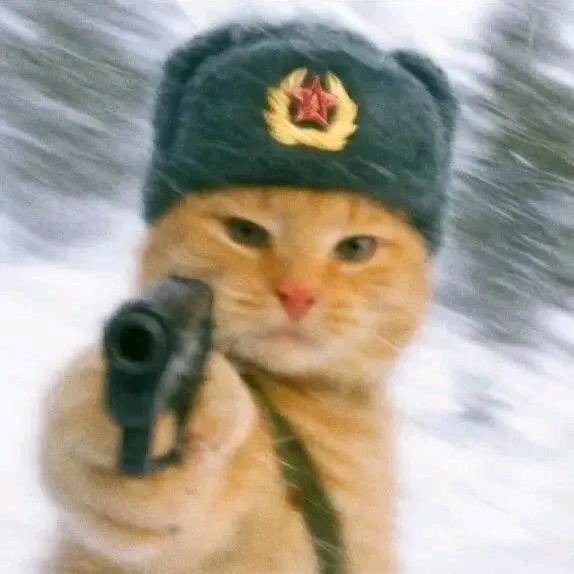 毛民9527(梦想炼制财富蛊)