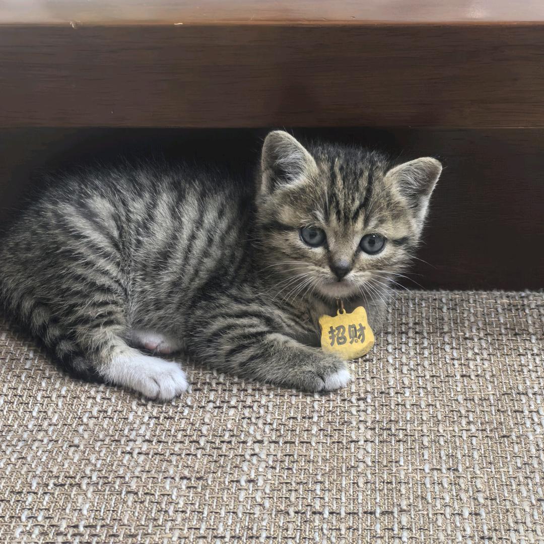 上汽大通金华元龙-赵总