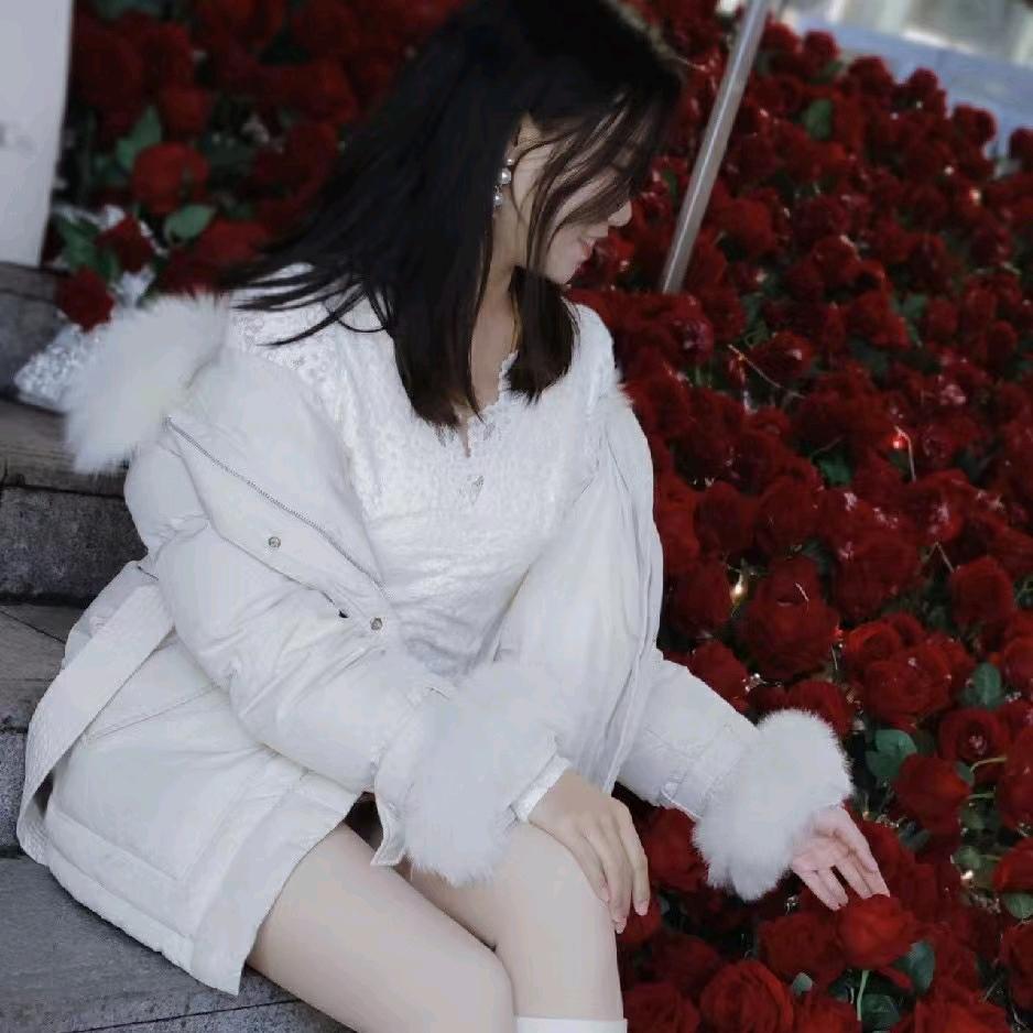 茶妞007