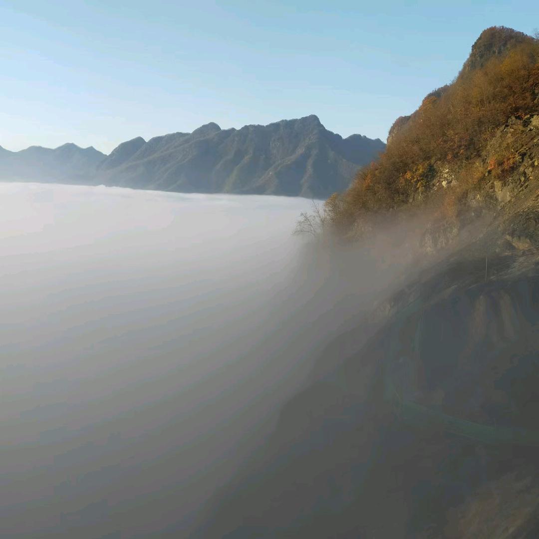 陕西老王