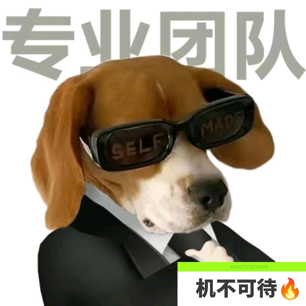 机不可待🔥