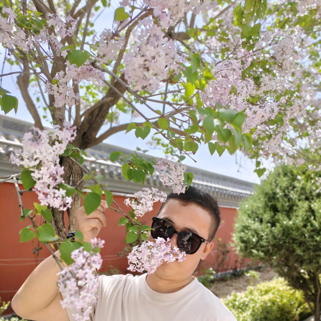 小黄弟