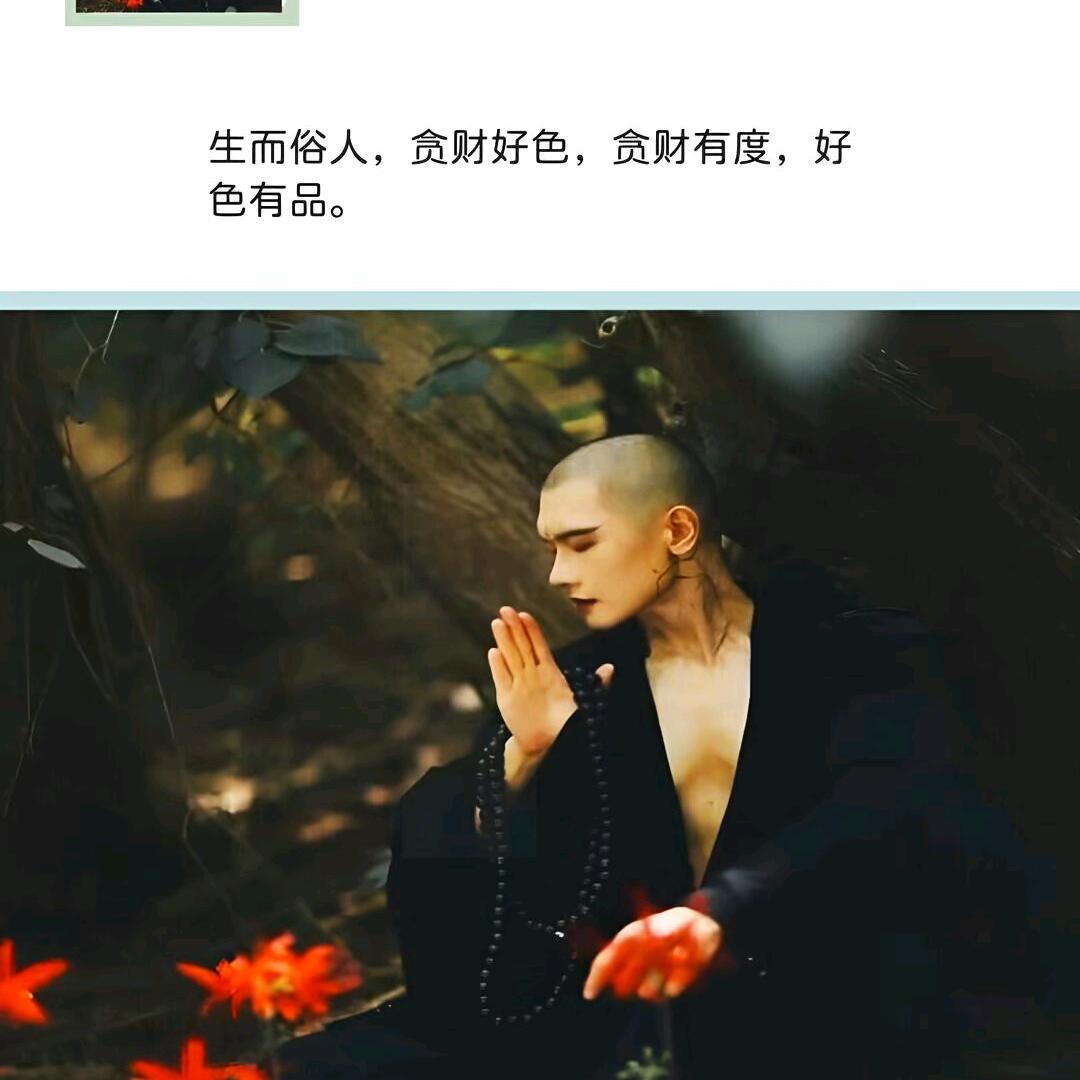 柒哥哥