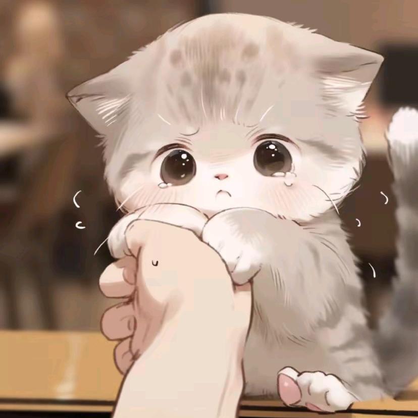 枫叶L.⁰⁴⁵¹