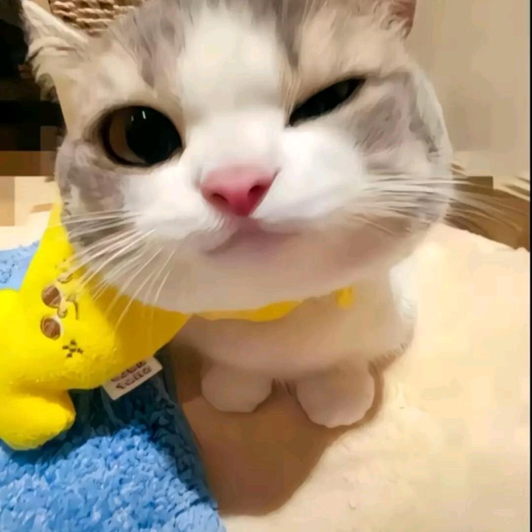 爽米f爽
