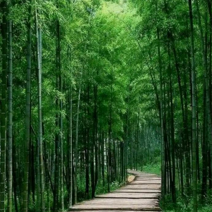 景玉