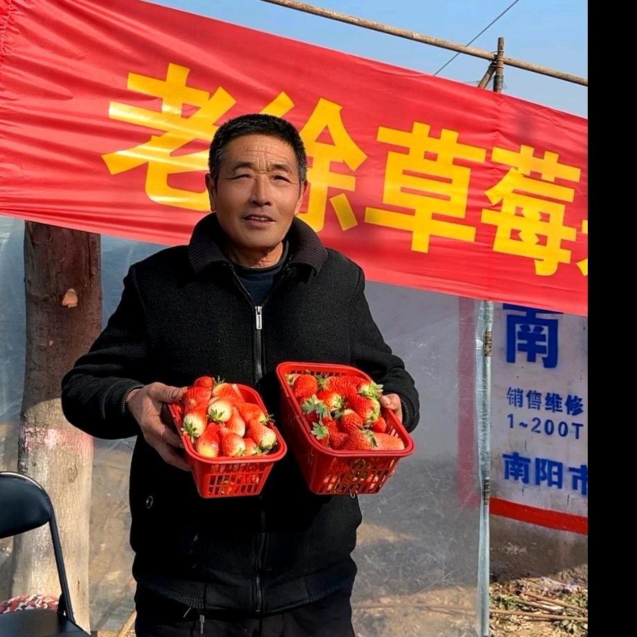 老徐草莓釆摘园