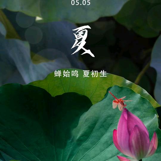 茶阅夜。。