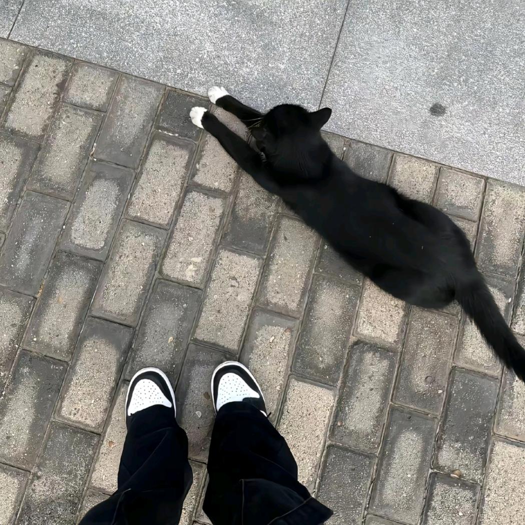 冬^