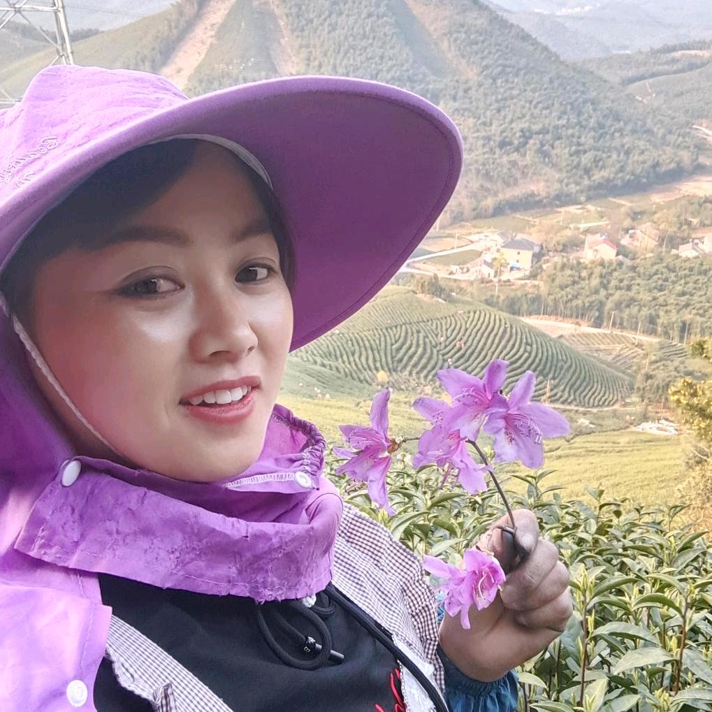 采茶唱唱；茶叶有售🌱