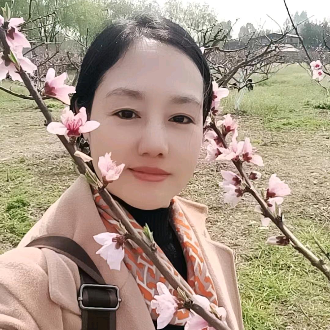 丁香花花