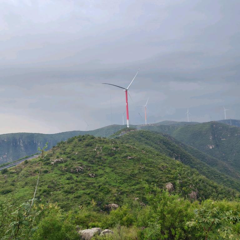 青春