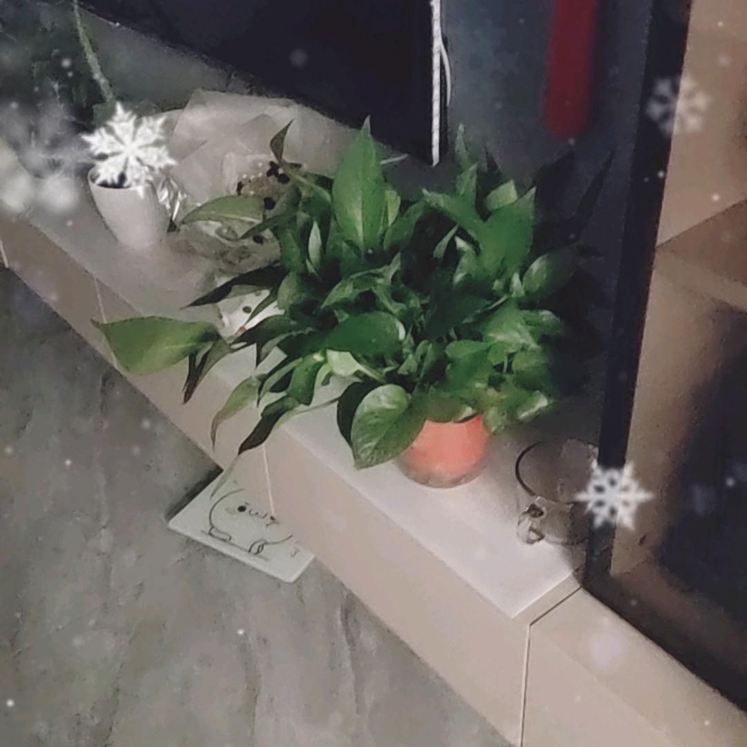 中国扬子洗衣机