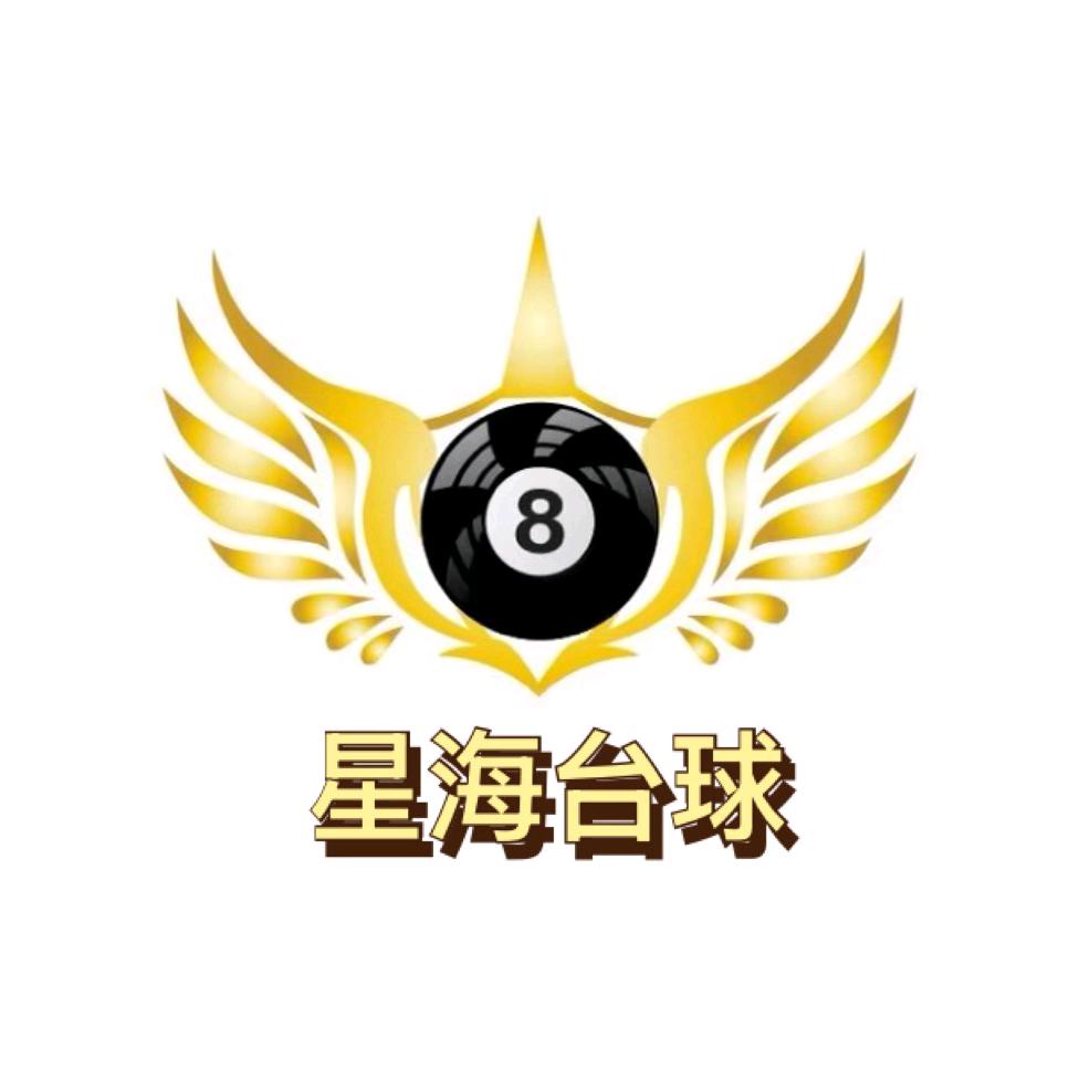 星海台球家家悦店助教团队