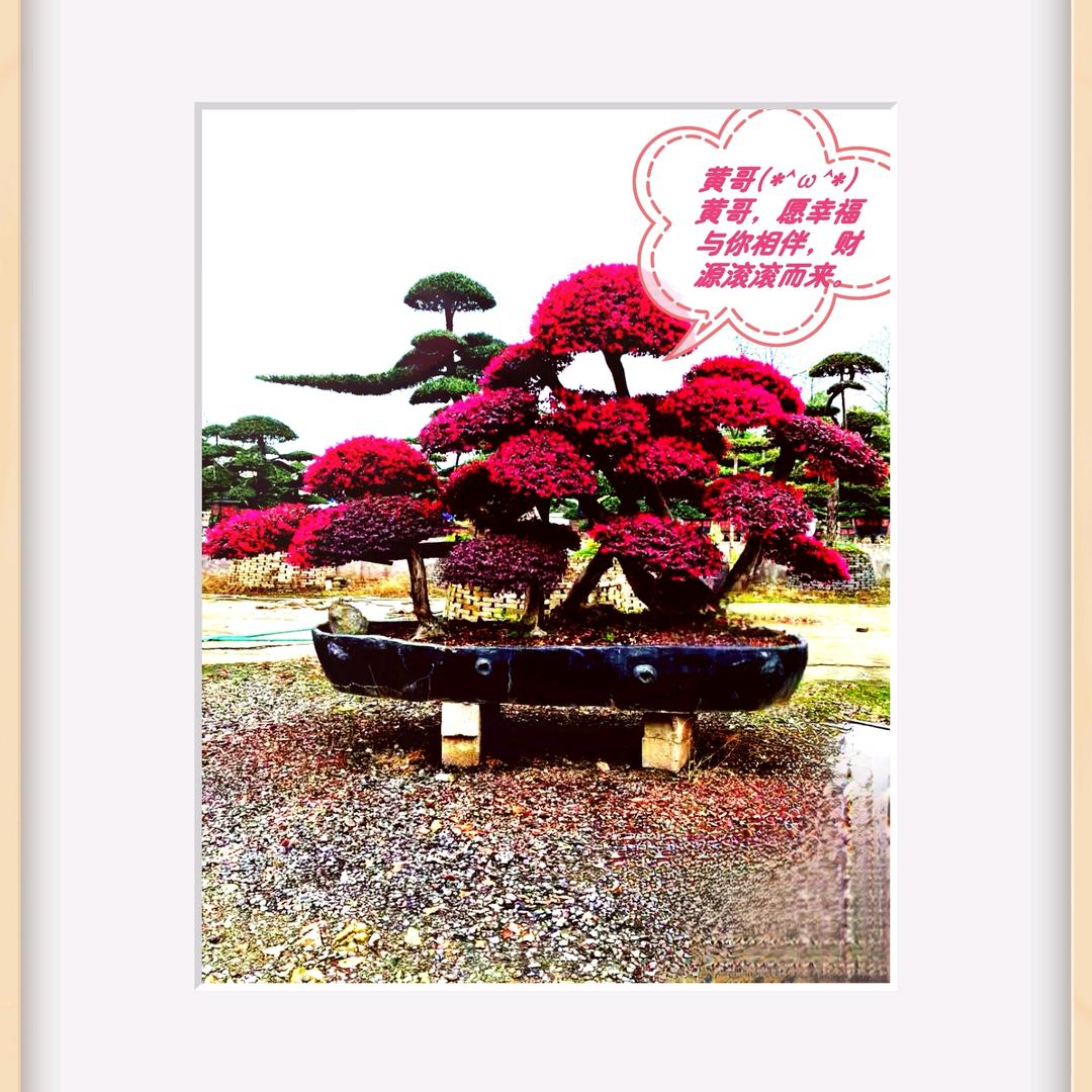 A长沙祥瑞博钰园林