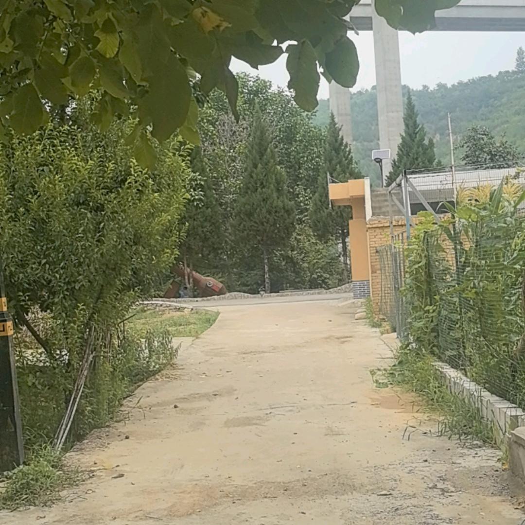 微风轻轻起，凉爽真惬意