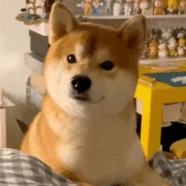 一片包蛋