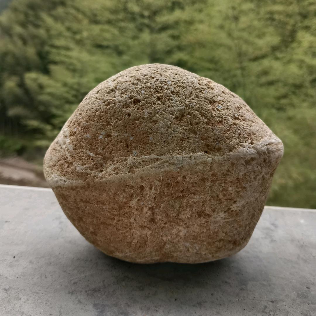 石❤️诚❤️姐