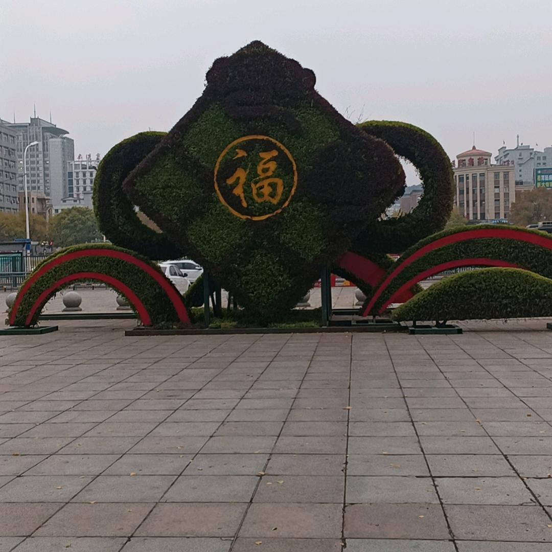 净新