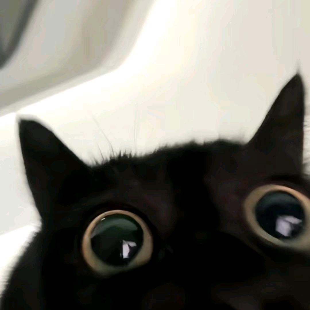 赊月色