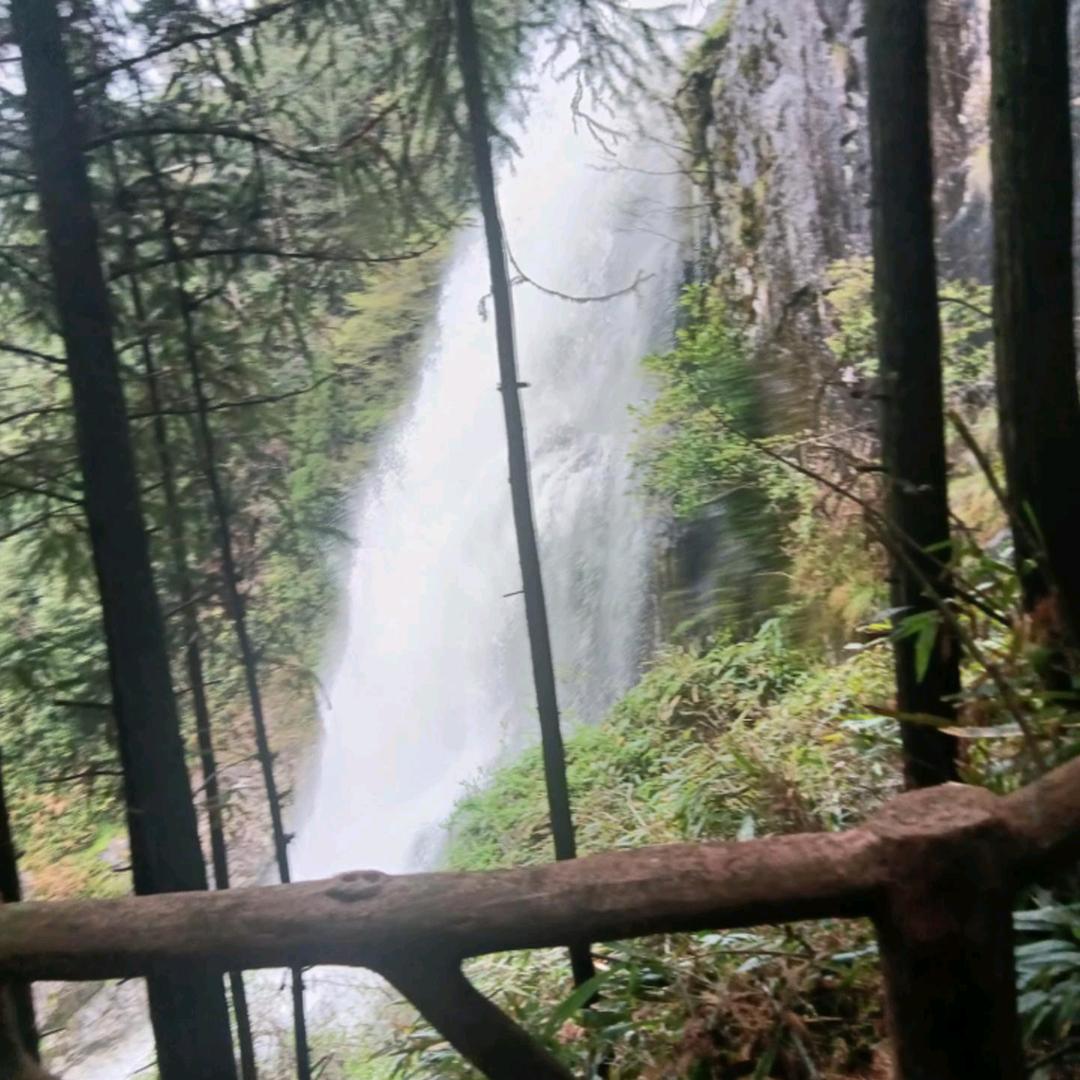 开开心心每一天