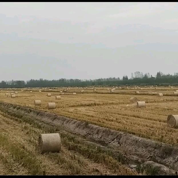 顺鑫《秸秆》打包离田车队