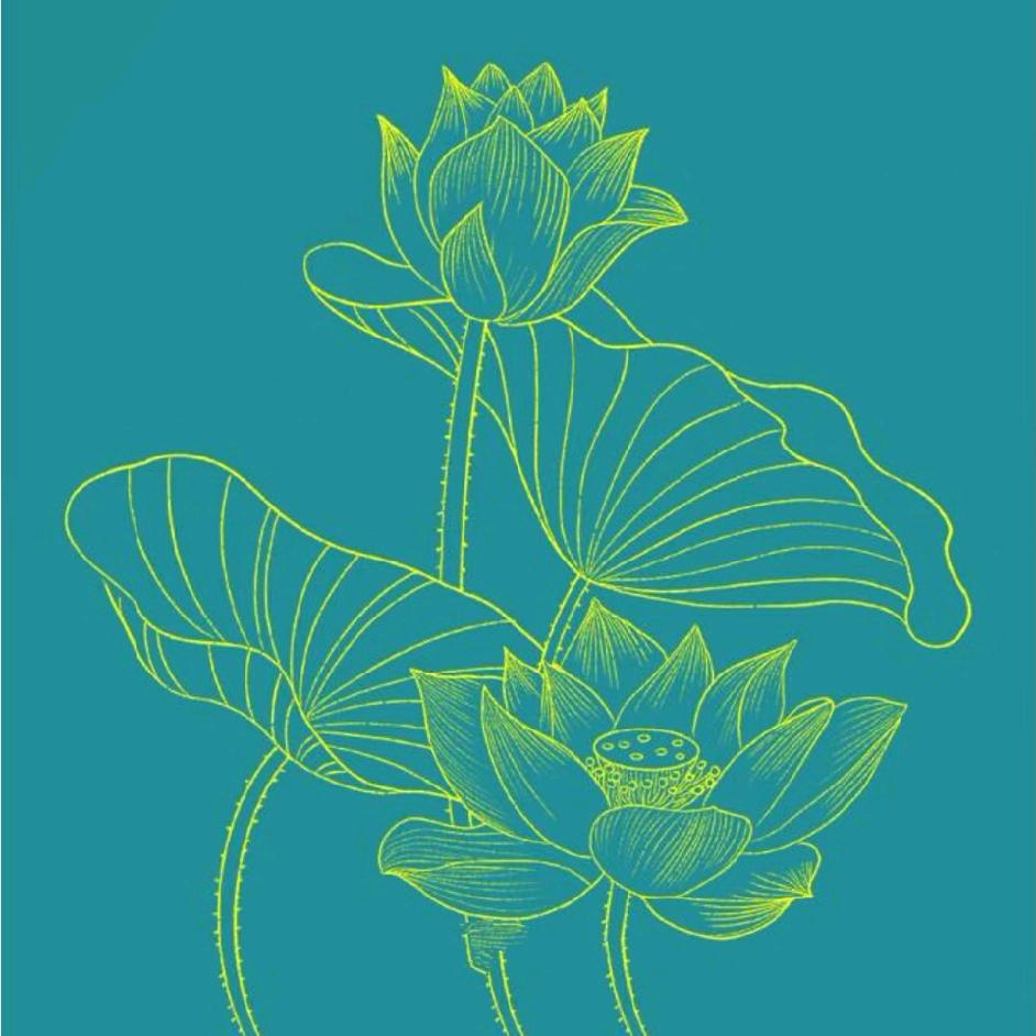 芊墨