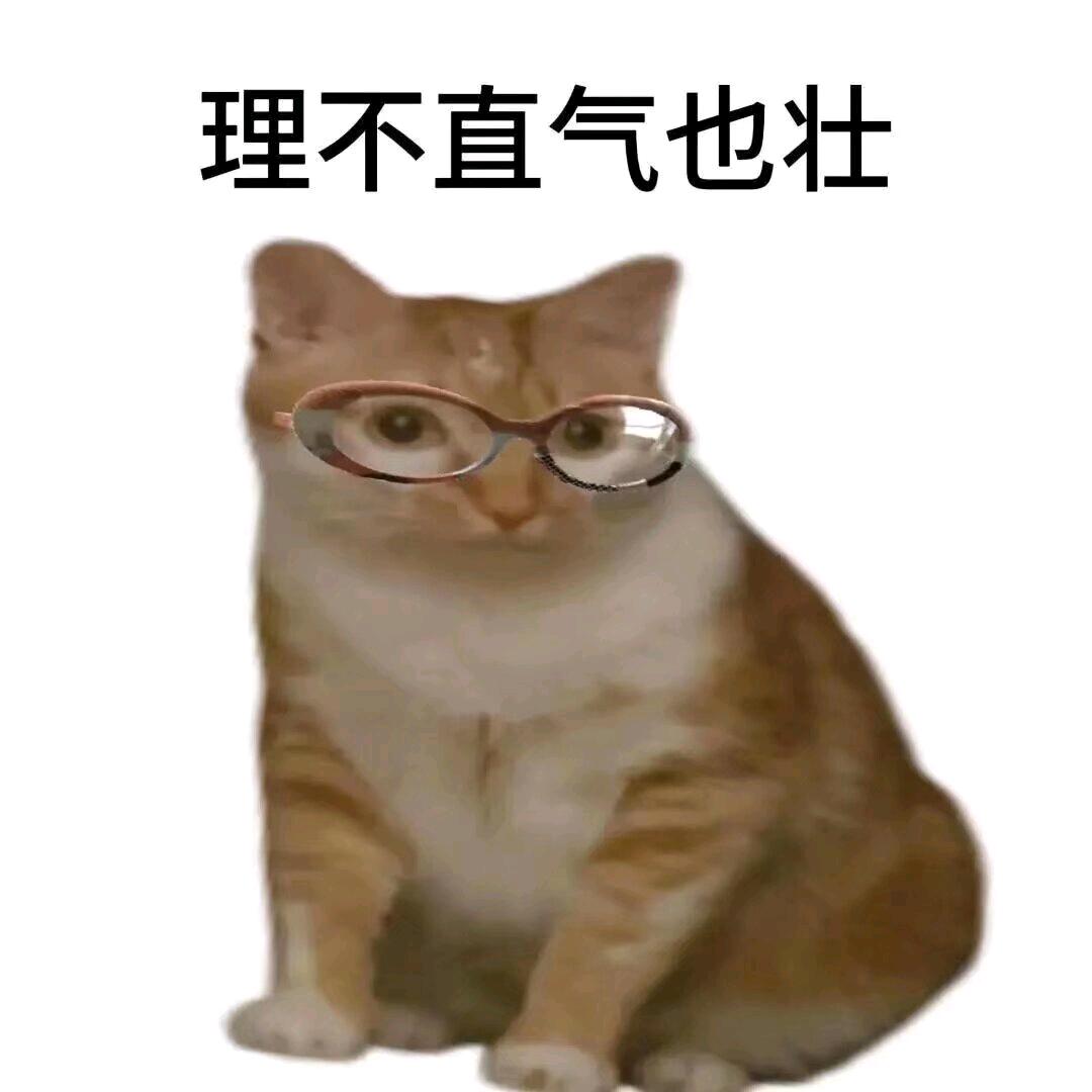 理不直 气很壮