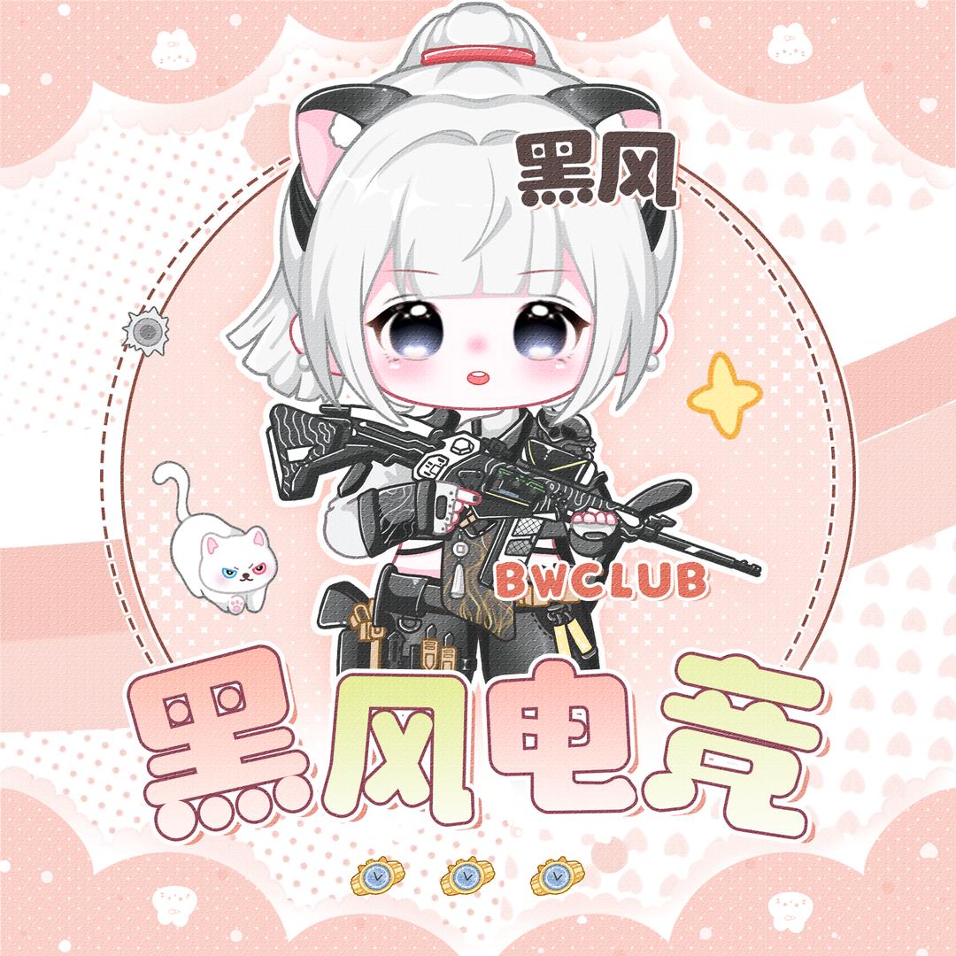 黑风电竞（三角洲行动）