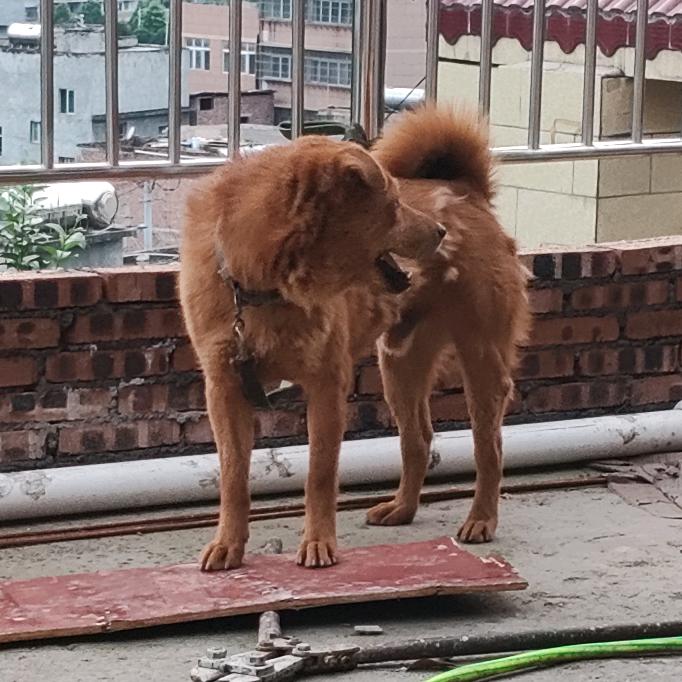黔西南护农队