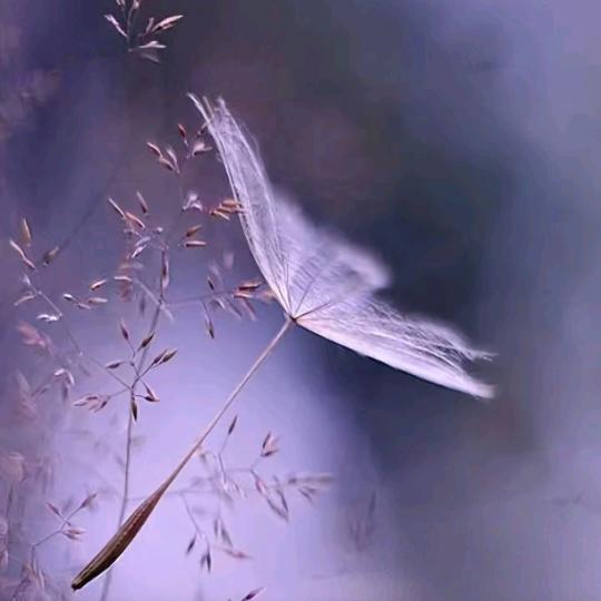 ꧔ꦿ᭄💞删ꦿᩚ除⃕过往⛈᭄