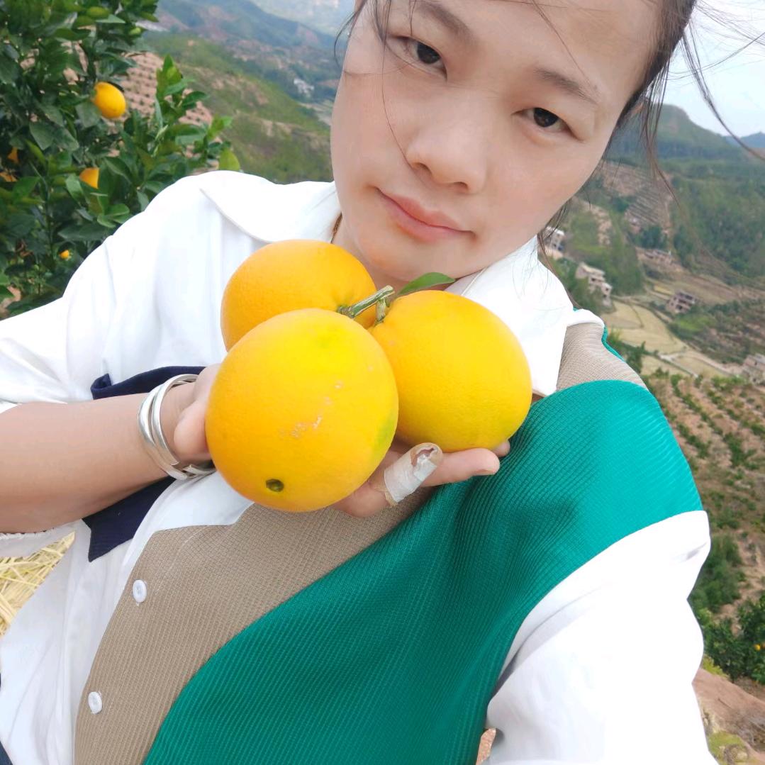 赣南脐橙 余姐