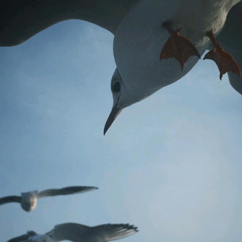 林千杰