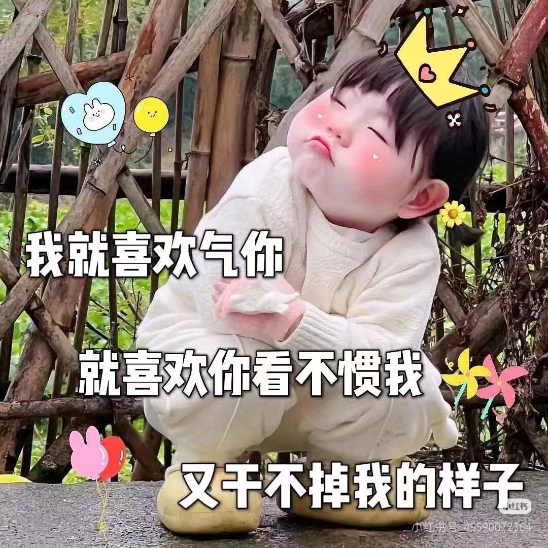 随心所欲