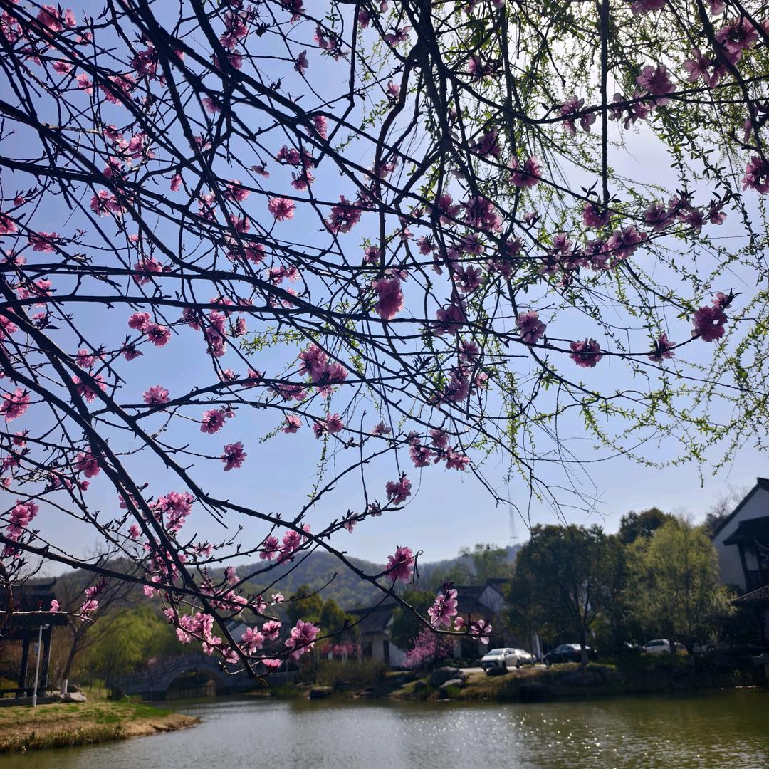 梅子oO