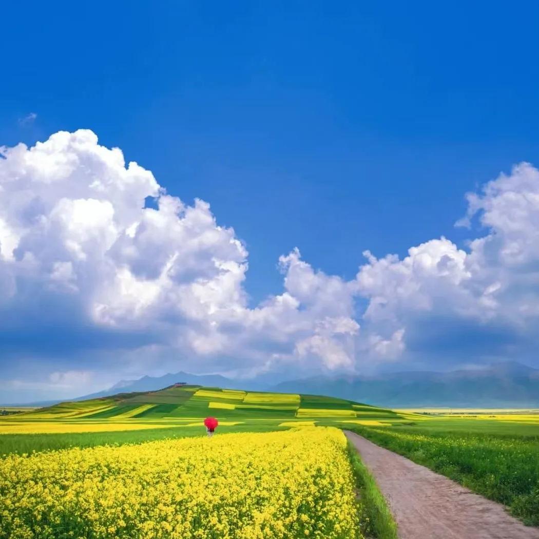 笑为谁🔥而生🌊