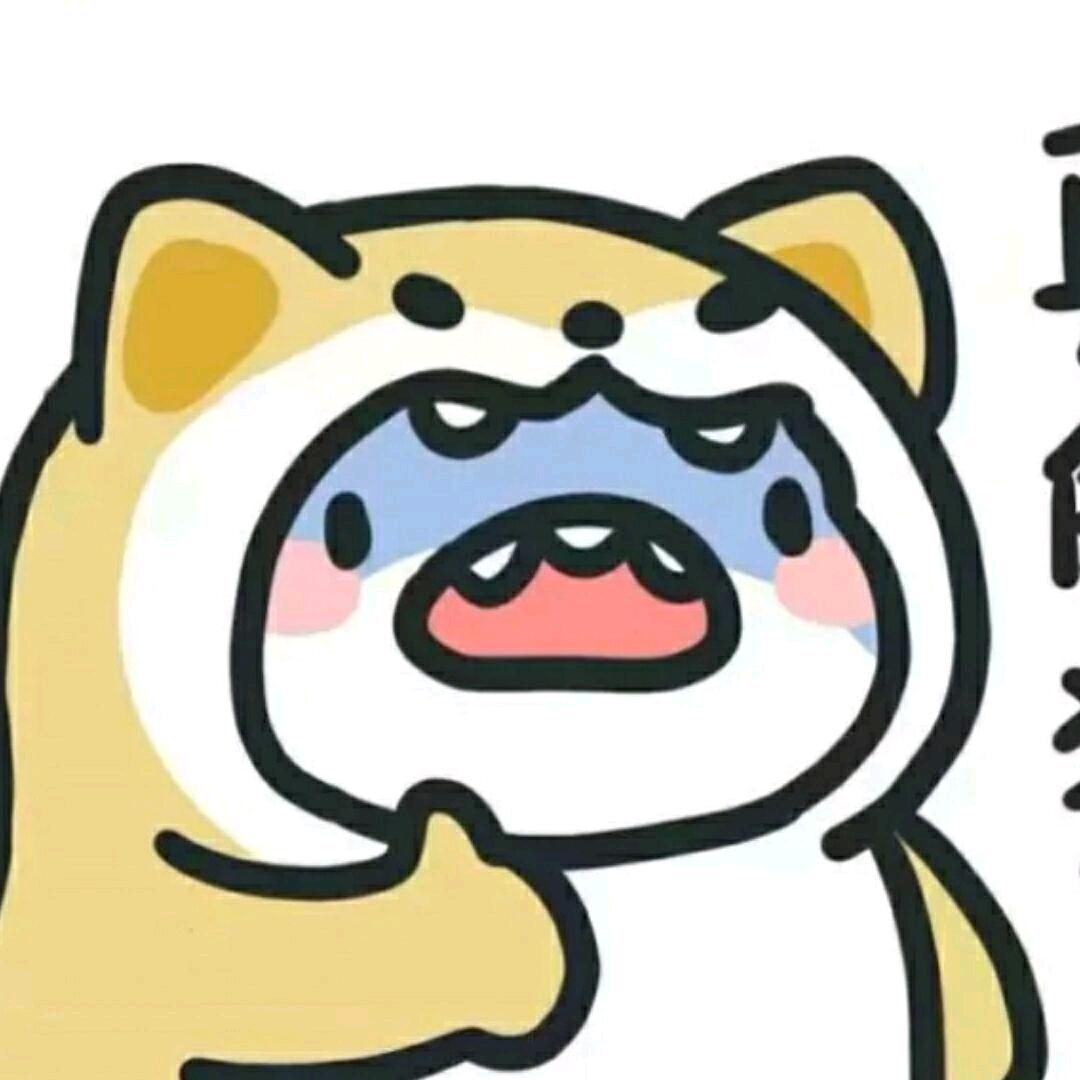 功夫飞喵