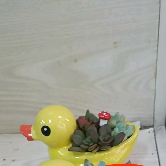 ，宗师