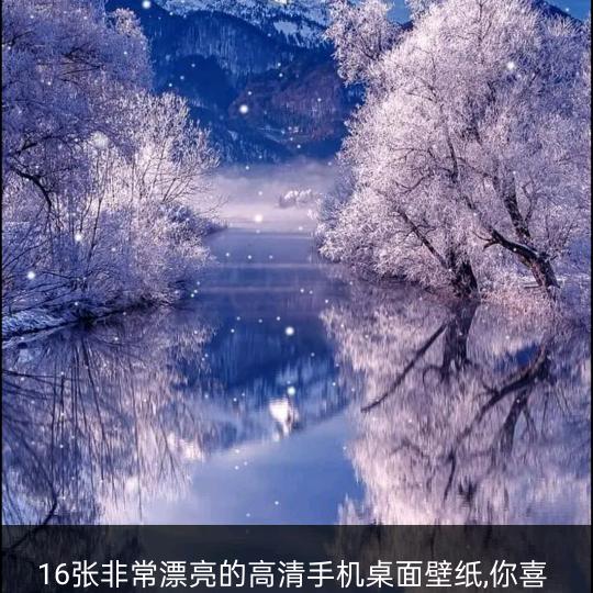 人生如寄