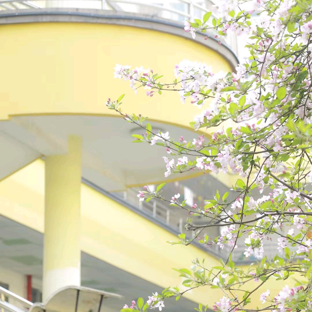 🌟向向向前冲🌟